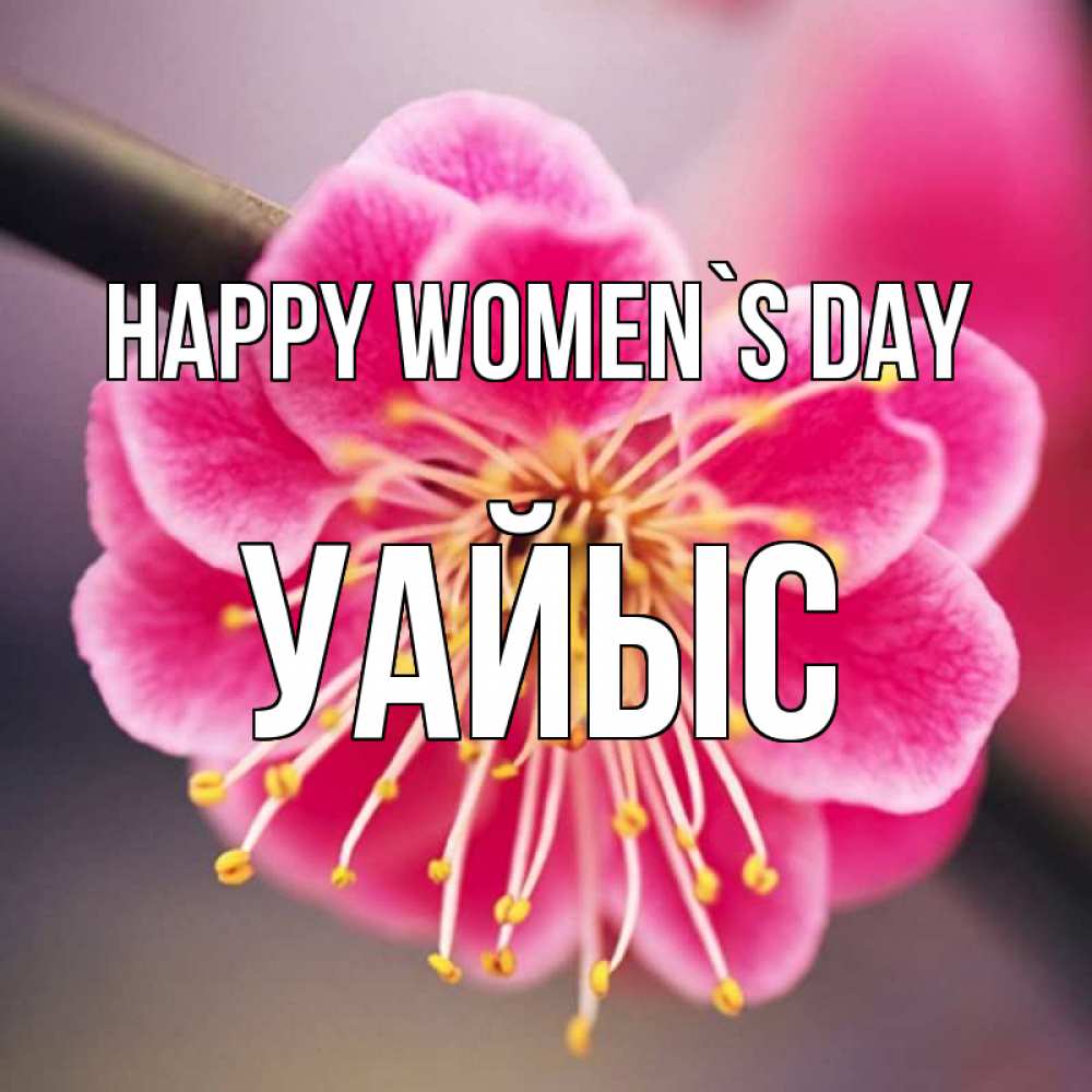 Greetings card с именем, УАЙЫС happy women`s day цветы Greetings with text for free download 